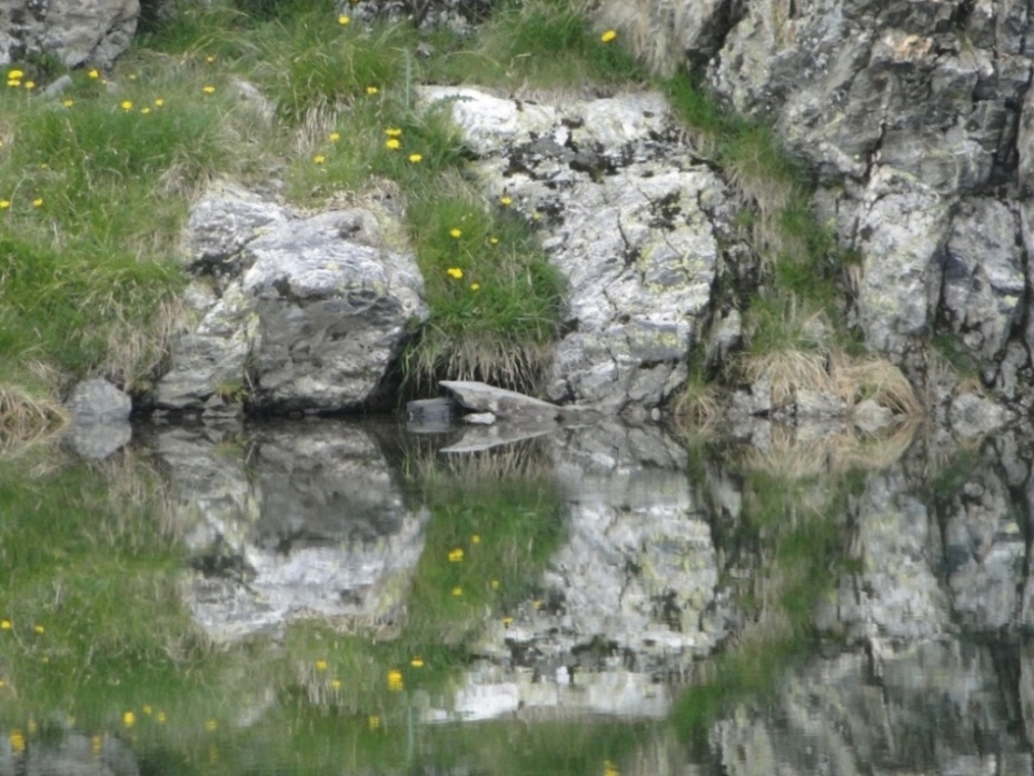 Riflettendo sul lago Avert